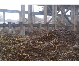 廣西來賓某堿氯法甘蔗渣制漿廠除COD、脫色案例分享